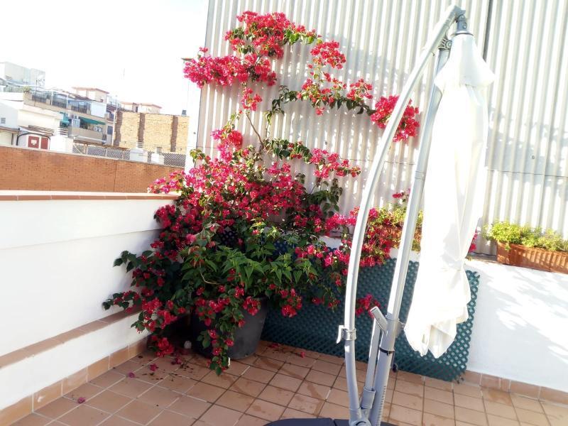 Castel Apartament *